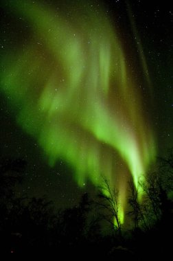 Gökyüzündeki Aurora Borealis 'in güzel gece manzarası               
