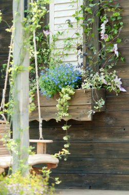 Pencereden sarkan mavi çiçeklerle dolu bir çiçek kutusu