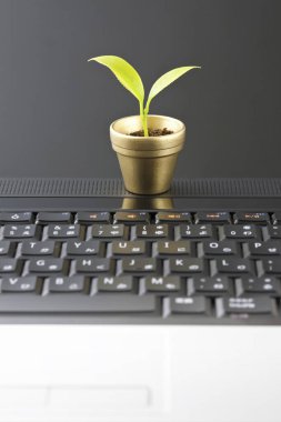 Beyaz arka planda yeşil bitkisi olan bilgisayar klavyesi.