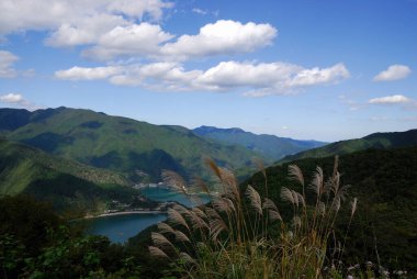 Güzel göl manzarası