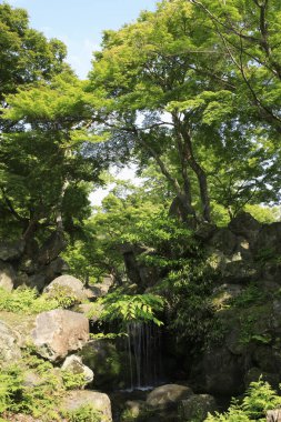Yeşil parkta küçük güzel bir şelale.