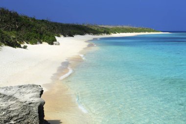 Mavi gökyüzü ve kumlu güzel tropikal plaj      