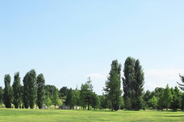 Yeşil ağaçları ve çayırları olan güzel bir manzara.             
