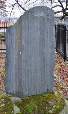 Şehir parkındaki eski taşın manzarası