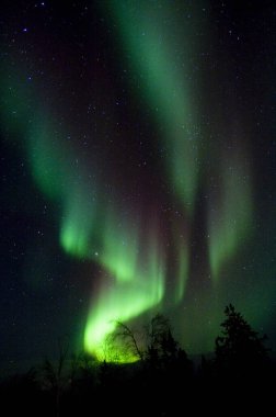 Aurora Borealis, Kuzey Işıkları Gece gökyüzünde         