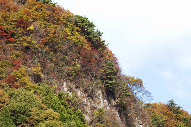 Shikou, Japonya 'da sonbahar rengi.