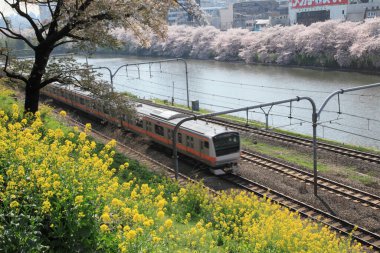 Trenin Chiyoda, Tokyo, Japonya 'daki Kitanomaru Parkı yakınlarındaki hava görüntüsü.
