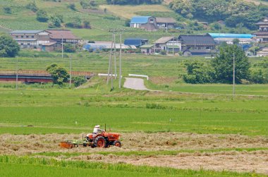 Çiftçi traktörle tarla sürüyor