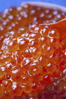 Kırmızı havyar yakın kadar arka plan 