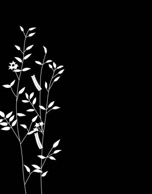 bitkilerle siyah beyaz desen