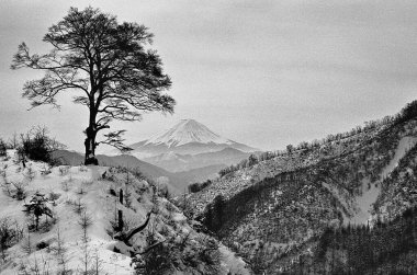 Karla kaplı tepeleri ve ağaçları olan güzel dağ manzarası, siyah ve beyaz   