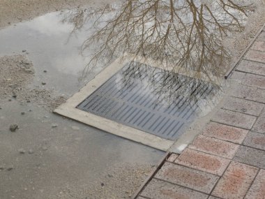 Su birikintisi ağacı yansıtıyor ve kaldırıma boşalıyor.