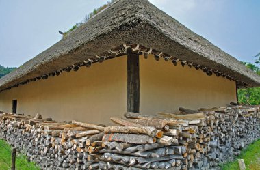 Ahşap ve saman malzemelerinden yapılmış geleneksel ev