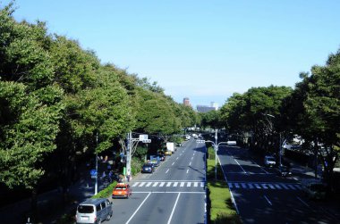 Tokyo 'da arabalı ve yeşil ağaçlı yol