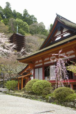 Antik Asya tarihinde, duaların ve ritüellerin yankılarının hala havada hissedildiği görkemli bir geleneksel tapınak..