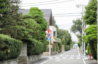 Banliyö evleri ve yeşil ağaçları olan güzel bir sokak manzarası.