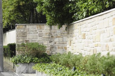 Yeşil çalıların ve yapraklı bitkilerin yanında güneşli taş bir duvar.