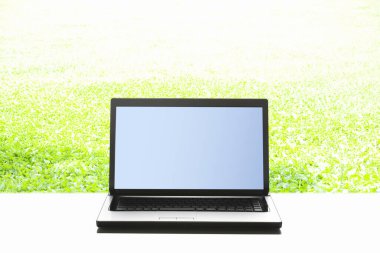 boş ekranlı dizüstü bilgisayar park arka planında izole edildi