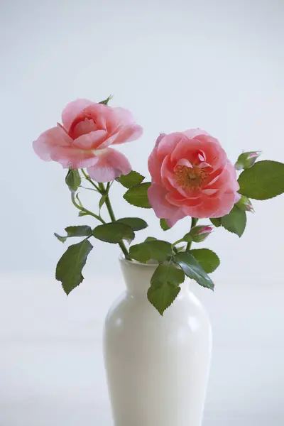 Kytice Krásných Jemných Květin Váze Zblízka Pohled — Stock fotografie