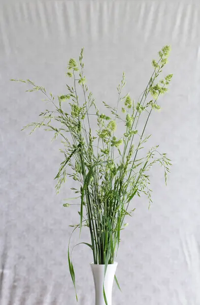Vazoda Bir Buket Taze Çiçek Çiçek Kompozisyonu — Stok fotoğraf