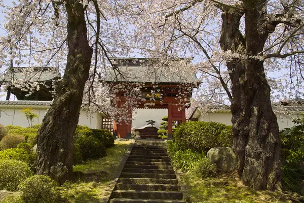 Güzel antik Japon tapınağının manzaralı görüntüsü.