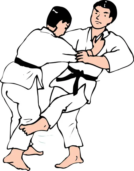 Two Male Karate Fighters Cartoon Illustration — Stock Photo, Image