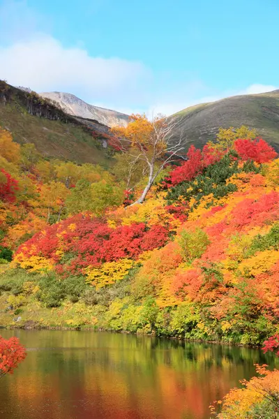 秋天的五彩缤纷的山湖 森林里五彩斑斓的树叶 — 图库照片