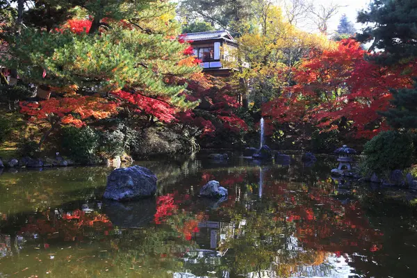 beautiful autumn landscape with trees in Japanese park