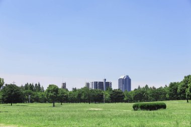 Mavi gökyüzü olan yeşil park 