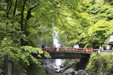 İnsanlar parkta güzel bir şelalenin yanında yürüyor.