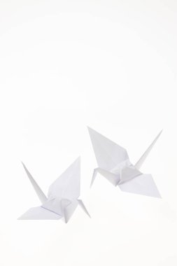 Kağıt gemi üzerinde beyaz izole