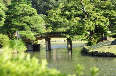 Yazın köprüsü, göleti ve yeşil ağaçları olan güzel Japon bahçesi.          