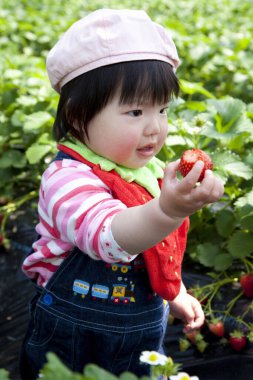 Bahçede çilek tutan küçük çocuk