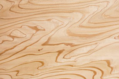 Tahta doku, doğal ahşap zemin 