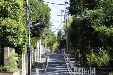 Ağaçlar ve elektrik hatlarıyla kaplı sessiz bir cadde.