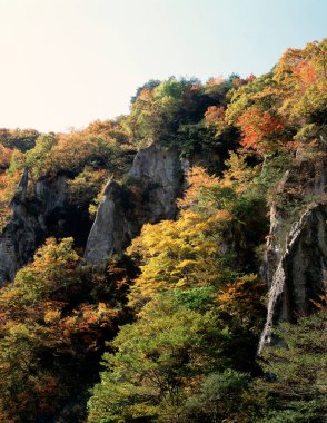Sonbahar mevsiminde manzaralı ormanın olduğu güzel dağ manzarası     