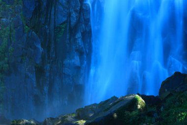 Ormanda güzel bir şelale.