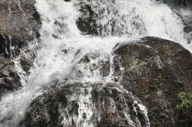 güzel bir dağ şelale manzarası          
