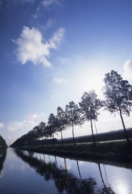 Nehirdeki ağaçların manzarası  