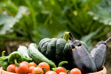 Masada taze sebzeler, yakın çekim manzarası.