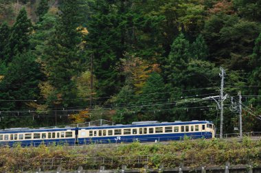 Japonya 'da doğayla iç içe hareket eden tren.