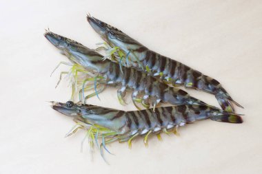  Arka planda bir grup karides, yakın plan.