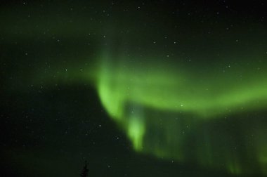 Aurora Borealis kış manzarası boyunca gece gökyüzünde      