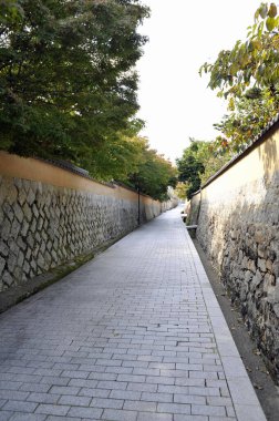 Yüksek bahçe duvarları arasında uzanan güneşli taş patika