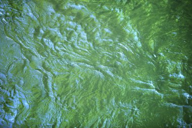 soyut yeşil su dokusu arkaplanı         