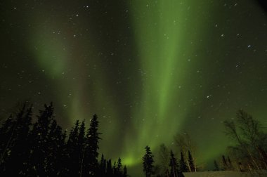 Gökyüzündeki Aurora Borealis 'in güzel gece manzarası               