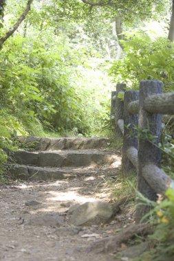 Yeşil parktaki eski taş merdivenler ve çitler