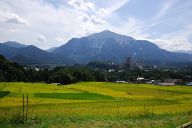 Doğa arka planında dağlar olan güzel bir manzara.