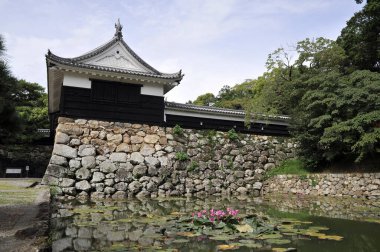 Güzel antik Japon tapınağının manzaralı görüntüsü.