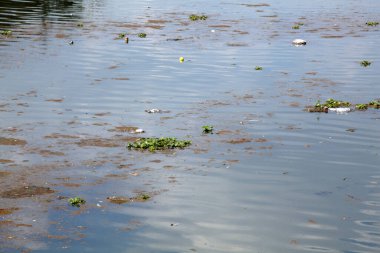 Nehirdeki su kirliliği doğanın arka planında